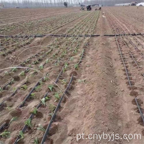 Zona de irrigação por gotejamento com estufa de vegetais